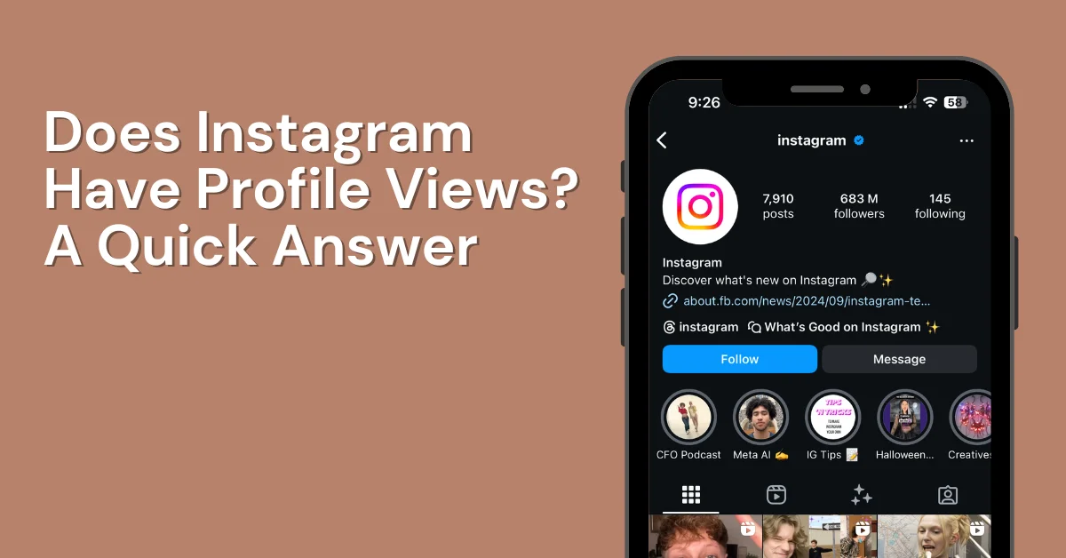 does instagram have profile views