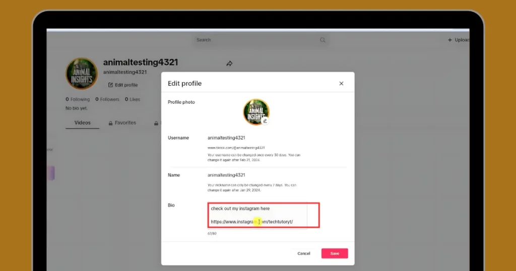in the bio section, paste your instagram profile link