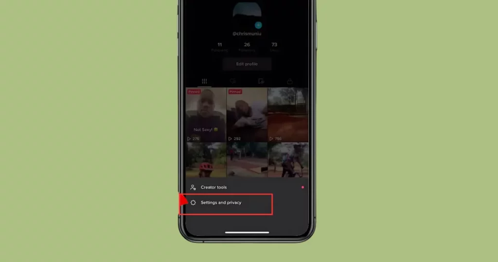 select settings and privacy