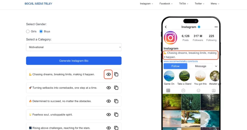 use preview option in socialmediatalky instagram bio generator