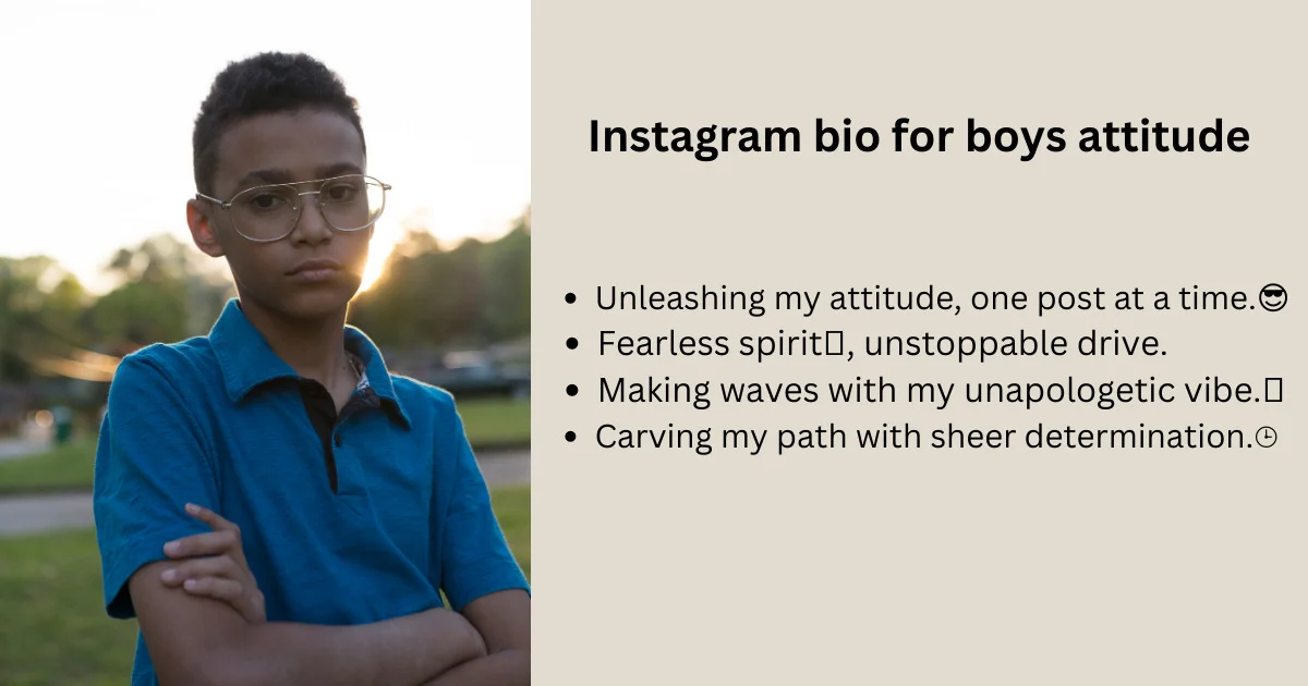 Instagram bio for boys attitude